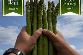 🎊アスパラグランプリ受賞記念🎊特別価格【アスパラガス春芽】最高級✨極上極太『極み』※Ａ２Ｌサイズのみ