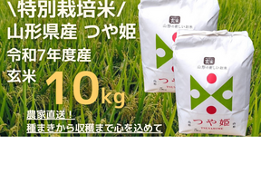 【令和7年新米】特別栽培米つや姫玄米10kg【冬ギフト】