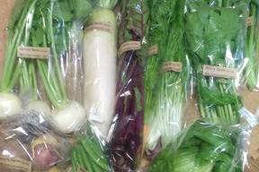 旬の野菜セット(8~10品)