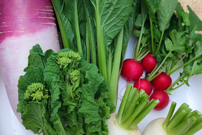 【アワード受賞福袋】旬野菜おまかせSセット(5品目) 期間限定！！