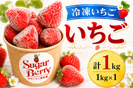 おいしさそのまま急速冷凍！【冷凍いちご】1kg
