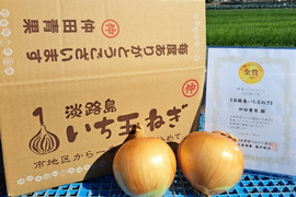 【野菜ソムリエサミット金賞🏆】淡路島玉ねぎ10kg