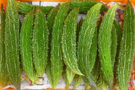猛暑にはチャンプルでいこう！ゴーヤ10本～農薬/化学肥料・不使用