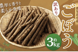 香り高い鹿児島県産新ごぼう３キロ【訳ありごぼう】