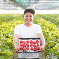 よかもんいちご