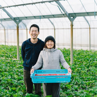 slowberry strawberry