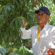 菱沼農園