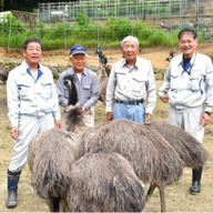 株式会社きやまファーム