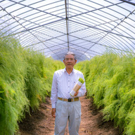 ファーム西田口