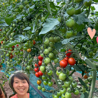 えいちゃんの畑