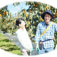 下山柿園（shimoyamakakien）