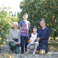 福々みかん（ふくだ農園）