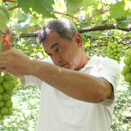 ヴィンヤードヒロセ