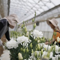 神内ファーム二十一