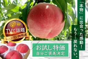 🍑シーズンラスト晩生桃🍑早い者勝ち"祝"産直受注1万件突破！！あしたの内村!!ニノさんTV出演で話題☆ 【朝どれ】自分ご褒美にレストラン御用達もも1kg🍑お試し特価キャンペーン9月上旬