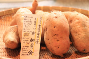 希少な幻の安納芋を熟成！濃厚でとろけるような焼き芋をご家庭で🍠【厳選】安納黄金（3㎏）ひとつひとつ紙につつんで丁寧にお届け。【冬ギフト】【お歳暮】熨斗承ります。