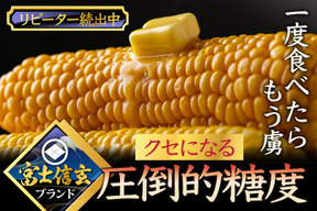 祝☆1万本販売実績達成☆クセになる圧倒的糖度☆【夏ギフト】食のプロが唸る魅惑の『富士信玄とうもろこし』お得な約3kg【朝どれ】🌽8月下旬予約🌽