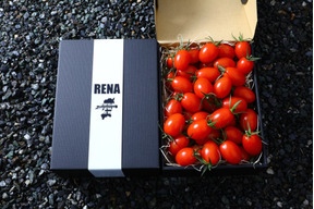 -RENA TOMATO- 1kgここでしか買えない福岡県産の激ウマとまと