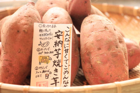 《予約販売》【厳選】リピーター続出！熟成高糖度安納芋（5㎏）蜜いっぱい🍯🍠の焼き芋がご家庭でも！ひとつひとつ紙に包んでお届け。【冬ギフト】【お歳暮】熨斗承ります。