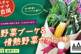 ベジブーケで感謝を伝えよう☆野菜の花束と情熱野菜セット9品目【通常ギフト】パチャママ農園　メッセージつき