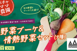 ベジブーケでお父さんに感謝を伝えよう☆野菜の花束と情熱野菜セット9品目【父の日ギフト】パチャママ農園　メッセージつき