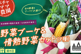 ベジブーケでお母さんに感謝を伝えよう☆野菜の花束と情熱野菜セット9品目【母の日ギフト】パチャママ農園　メッセージつき