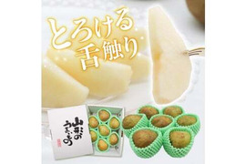 山形県産　洋梨　ラ・フランス　秀品2㎏ (6～10玉)