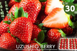 朝摘み大粒！甘～いブランド苺！　【うずしおベリー】 大粒 30個（15個入×2ケース）