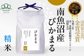 【R7年新米】第27回米・食味分析鑑定国際コンクール金賞/精米2kg南魚沼産ぴかまる/まつえんどんのお米