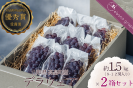 甘さ弾ける！『デラウェア』1.5kg×２箱セット【お中元】【予約販売】