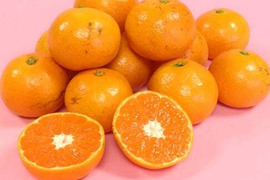 みかん 小玉の通販｜食べチョク｜産地直送(産直)お取り寄せ通販