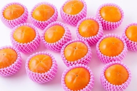 【冬ギフト】定番を極めた最高級の富有柿（4kg）