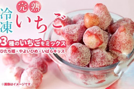 《2kg》完熟冷凍いちご　いちご農家さんからの直送品　お買い得商品