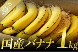 皮まで食べても安心！宮崎産無農薬バナナお徳用（訳有り）1kgとバームクーヘンのセット