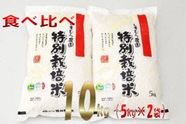 特別栽培米食べ比べセット各5㎏「ヒノヒカリ・さがびより」【化学肥料不使用・農薬5割以上減】 R5年産