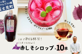 赤紫蘇シロップ6倍希釈610ｇ(500㎖)×10個