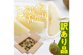●訳あり●　山形県産　洋梨　ラ・フランス　2kg (6～12玉)