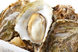 冷凍便で送る　蒸してツルッと！１５ｋｇ　殻付き　加熱用