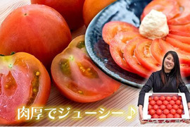 【南国高知直送】規格外だけどおいしい♪とってもジューシー大玉トマト！4㎏箱
