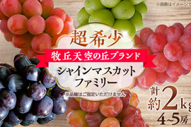 【超希少】牧丘天空の丘ブランド　シャインマスカットファミリーバラエティーセット