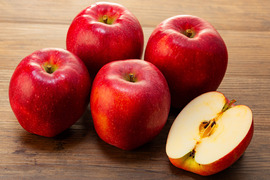 ≪収穫中≫　信州のりんご【おぜの紅】訳あり　約５kg