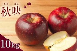 【2023年9月下旬より順次発送】信州名月オバステりんご（贈答用秋映）約10kg