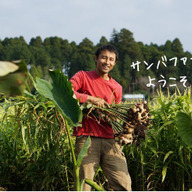 サンバファーム