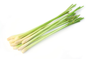 フレッシュ 沖縄県産 レモングラス 茎 1kg 沖縄県産 食べチョク 農家 漁師の産直ネット通販 旬の食材を生産者直送