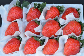 【冬ギフト】お年賀にも。開けてビックリ！【完熟あまおう】大粒いちごギフト（４L以上）【９～１５粒】