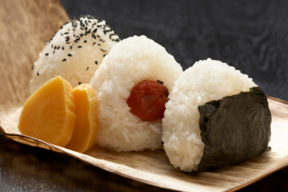 【令和8年産新米】熊本の美味しい水で育てた白く輝く『くまさんの力』白米10kg（熊本県品種/農薬化学肥料不使用栽培）