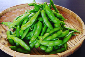 【夏ギフト】【朝どれ】手が止まらない！濃厚でコクのある枝豆【枝なし２８０g×５袋】