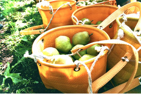 【山形産洋梨】特選大玉ラ・フランス5kg(12〜14個)【お歳暮にも是非】