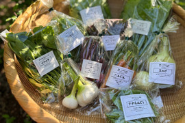 ふたばたけ　畑から直送！　農薬不使用！　旬のこだわり野菜セット　5～7種類