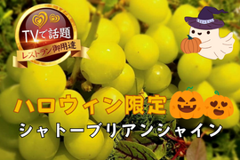 🎃ハロウィン企画🎃今逃したら1年待ちこの時期しか味わえない100日完熟シャトーブリアンシャイン登場🍇【人生で一度は食べたい葡萄】
